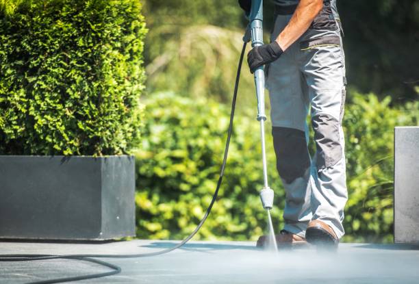 Best Driveway Pressure Washing  in Belle Plaine, KS